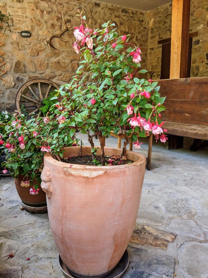 Apartamento Olmares Picos De Europa - 4 Personas Lomena ภายนอก รูปภาพ
